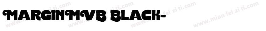 MarginMVB Black字体转换